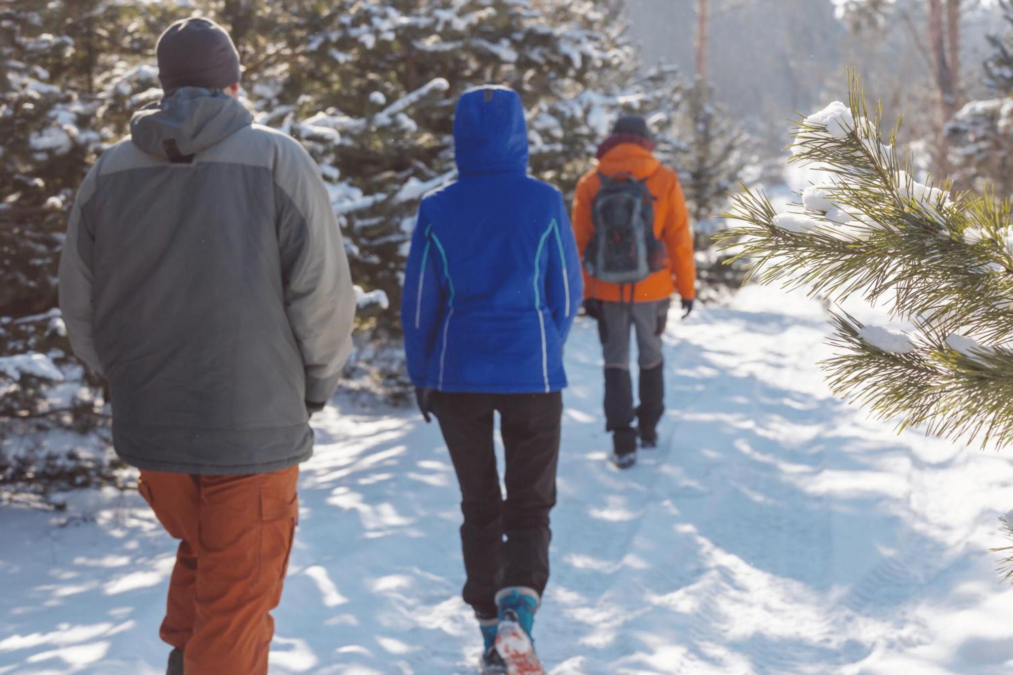 Charmant T3 Avec Vue Montagne Et Parking Privatif Font-Romeu-Odeillo-Via Luaran gambar