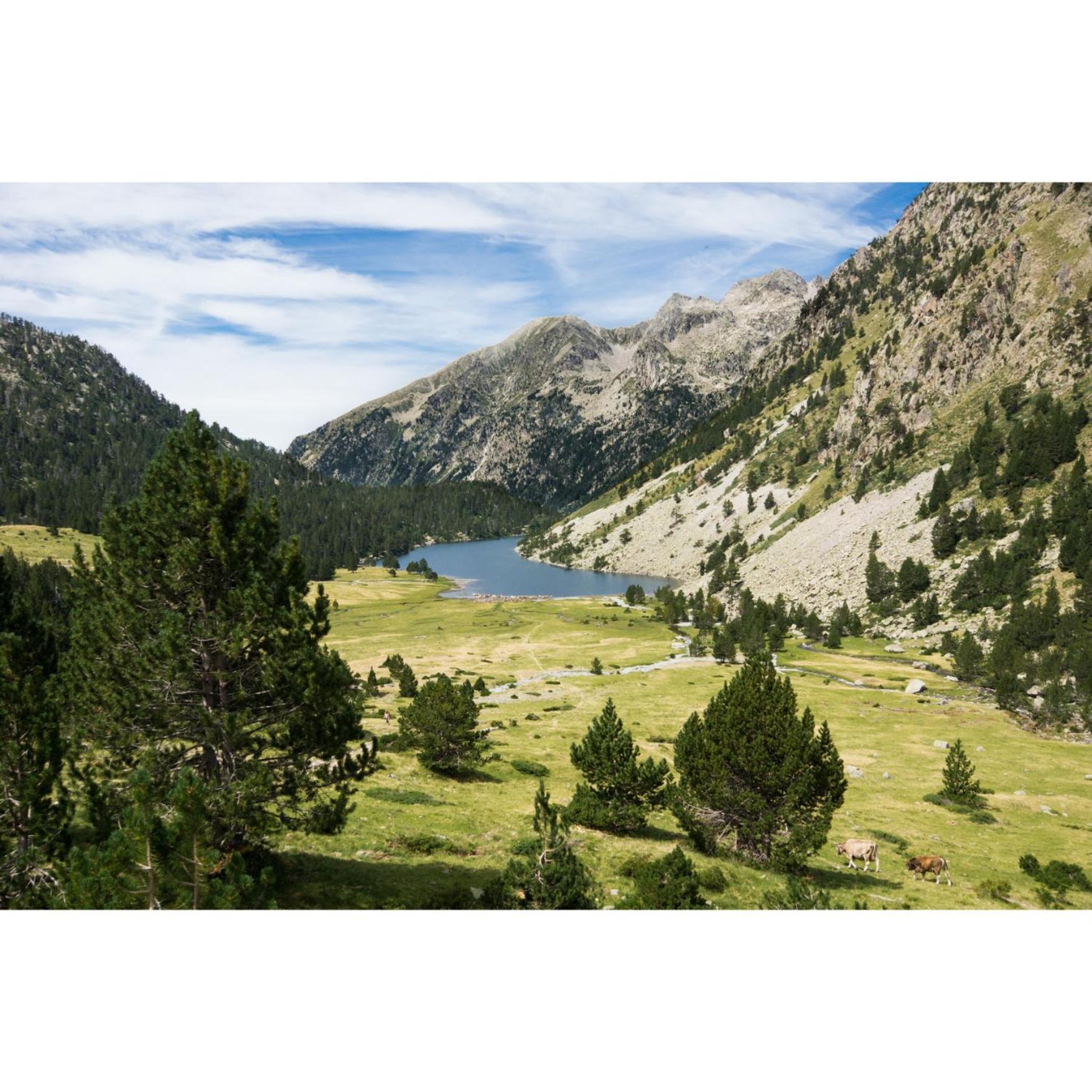Charmant T3 Avec Vue Montagne Et Parking Privatif Font-Romeu-Odeillo-Via Luaran gambar